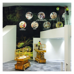 enviroscapemural-resize250x332.png