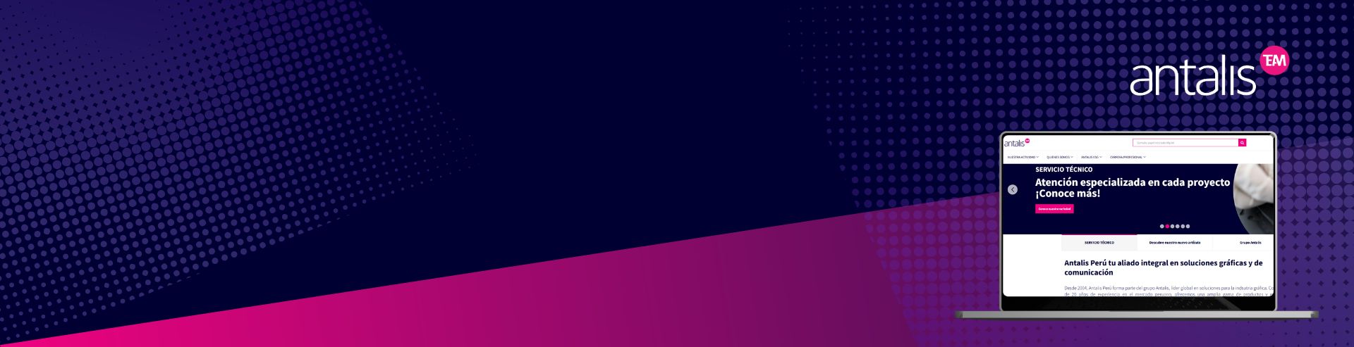 Nueva web Antalis Perú